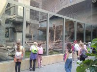 02. Dzieci w zoo.