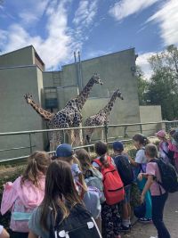 29. Dzieci w zoo, żyrafy w tle.