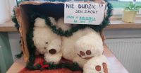 3. Pluszak - miś śpi w pudełku z hasłem Nie budzić