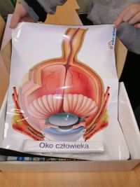13. Pomoce dydaktyczne