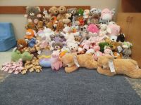 2. Duża ilość zebranych pluszaków.