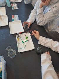 10. Doświadczenie nr 5