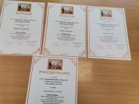 10. Dyplomy laureatów konkursu i podziękowanie dla szkoły.