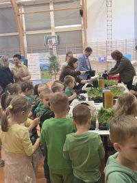 11. Dzieci sadzą paprocie.