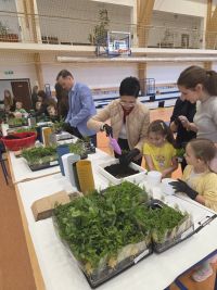 13. Organizatorzy sadzą paprocie