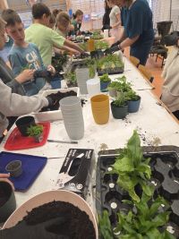 15. Dzieci sadzą paprocie